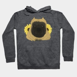 Fawn American Bully with Sunflowers Hoodie